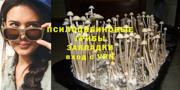 трава Абаза